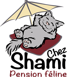 logo chez Shami